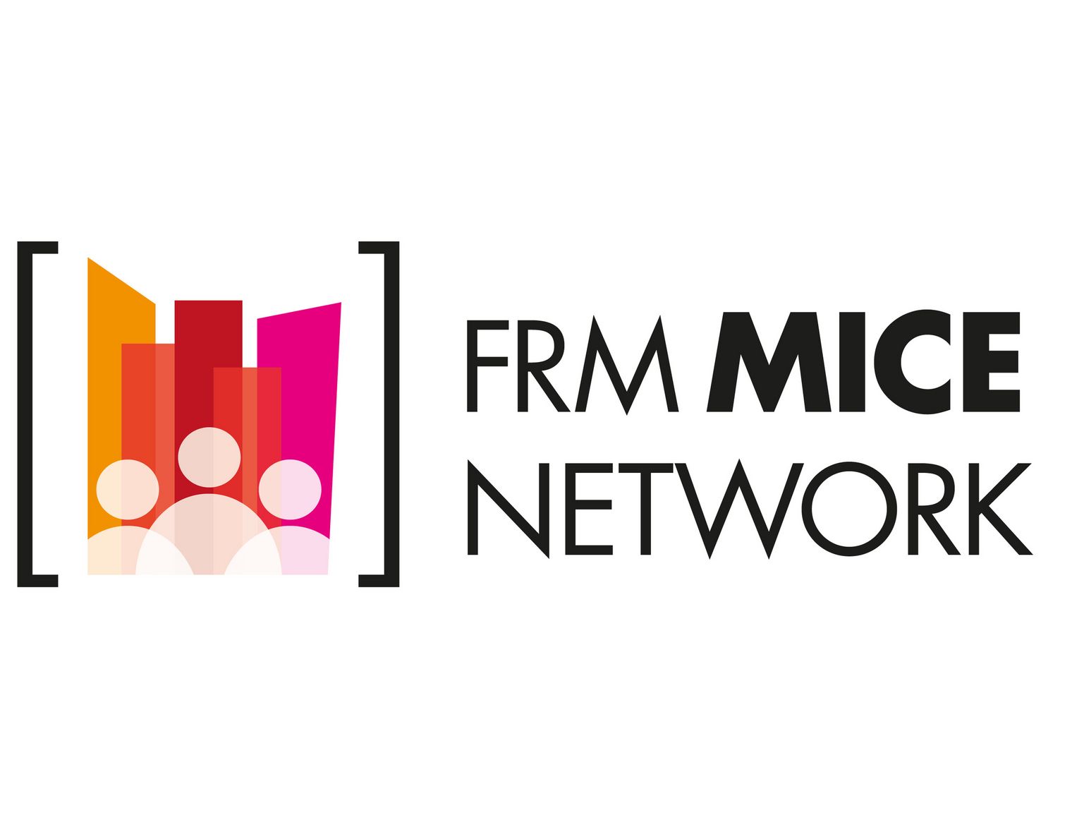 Logo des FRM MICE Networks